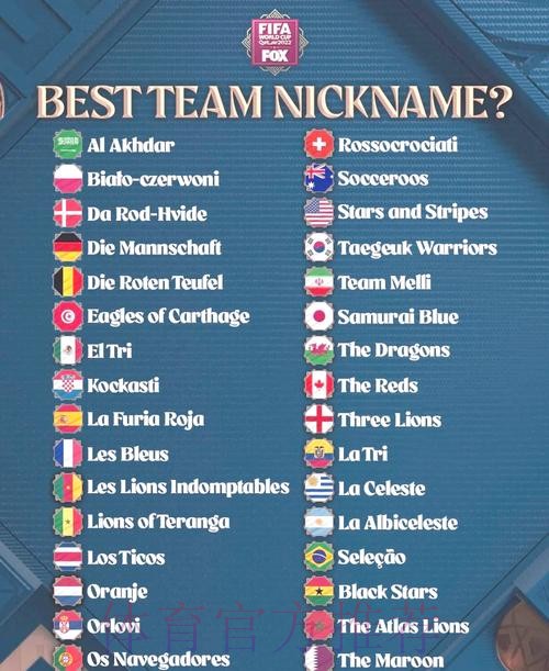 深入解读世界杯参赛球队详尽资料